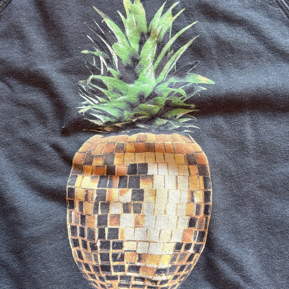 Wildfox Gray Sweatshirt with Disco Pineapple Design - Picture 2 of 5
